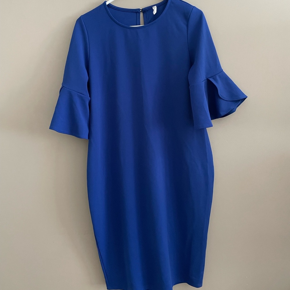 Pinkblush Brand Blue Maternity Dress
